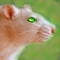 [Avatar]