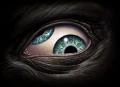 [Avatar]