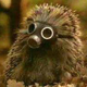 [Avatar]
